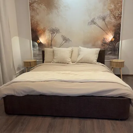 Appartement Rose De Saron Jardin Prive Plein Centre *