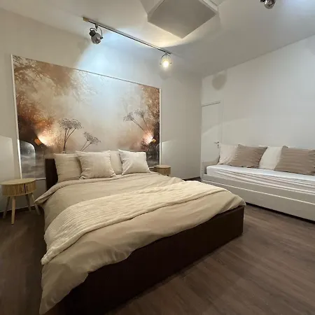 Rose De Saron Jardin Prive Plein Centre Appartement